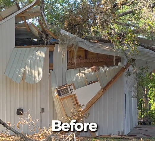 Before emergency tree limb removal in ocala