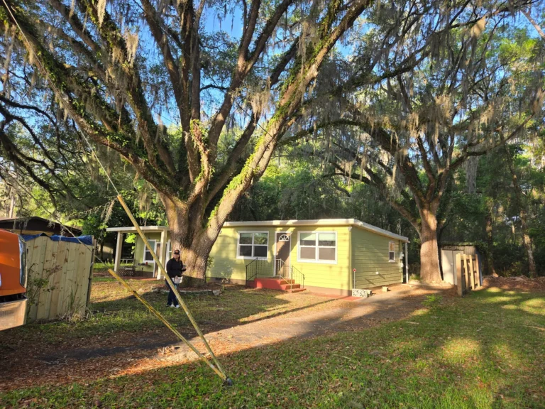 Before photo provided by the client - hazardous tree removal