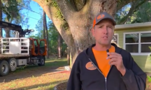 Dusty Speaking About Large Tree Removal in Dunnellon FL