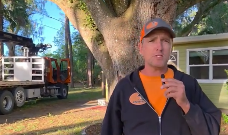 Dusty Speaking About Large Tree Removal in Dunnellon FL