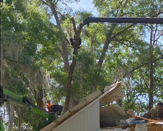 Dusty uses surgival precision to lift large limbs safely over the metal shop so more damage cant be done