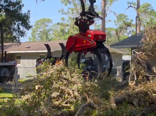Dustys grapple claw removed the limb and dropped it on the ground safely