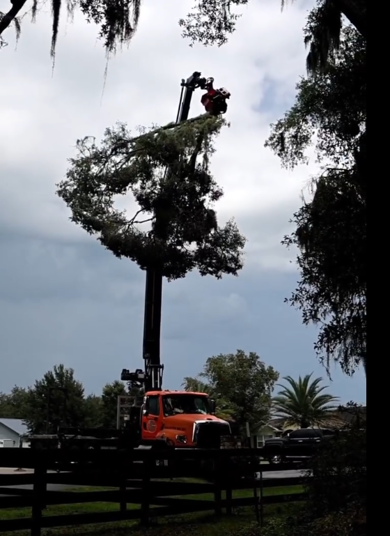 Our grappler saw is able to surgically remove tree tops for added protection of the assets on your property