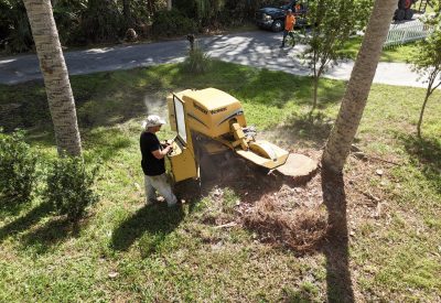 Stump Grinding