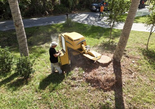 Stump Grinding
