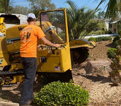 Tree Stump Removal