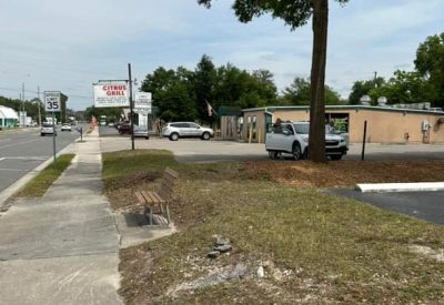 Commercial Tree Trimming in Dunnellon