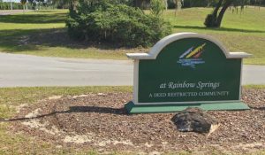 Rainbow Springs